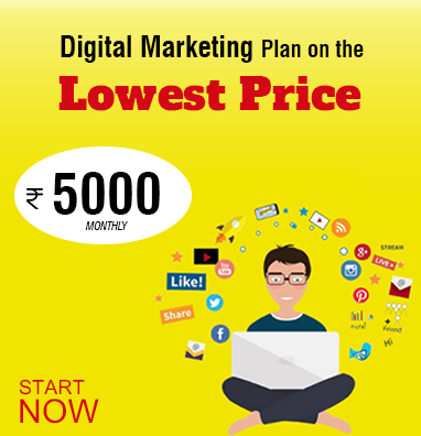 Pixel Craft Solution Digital Marketing Company in Lucknow India